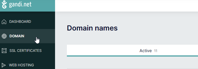 domain name section